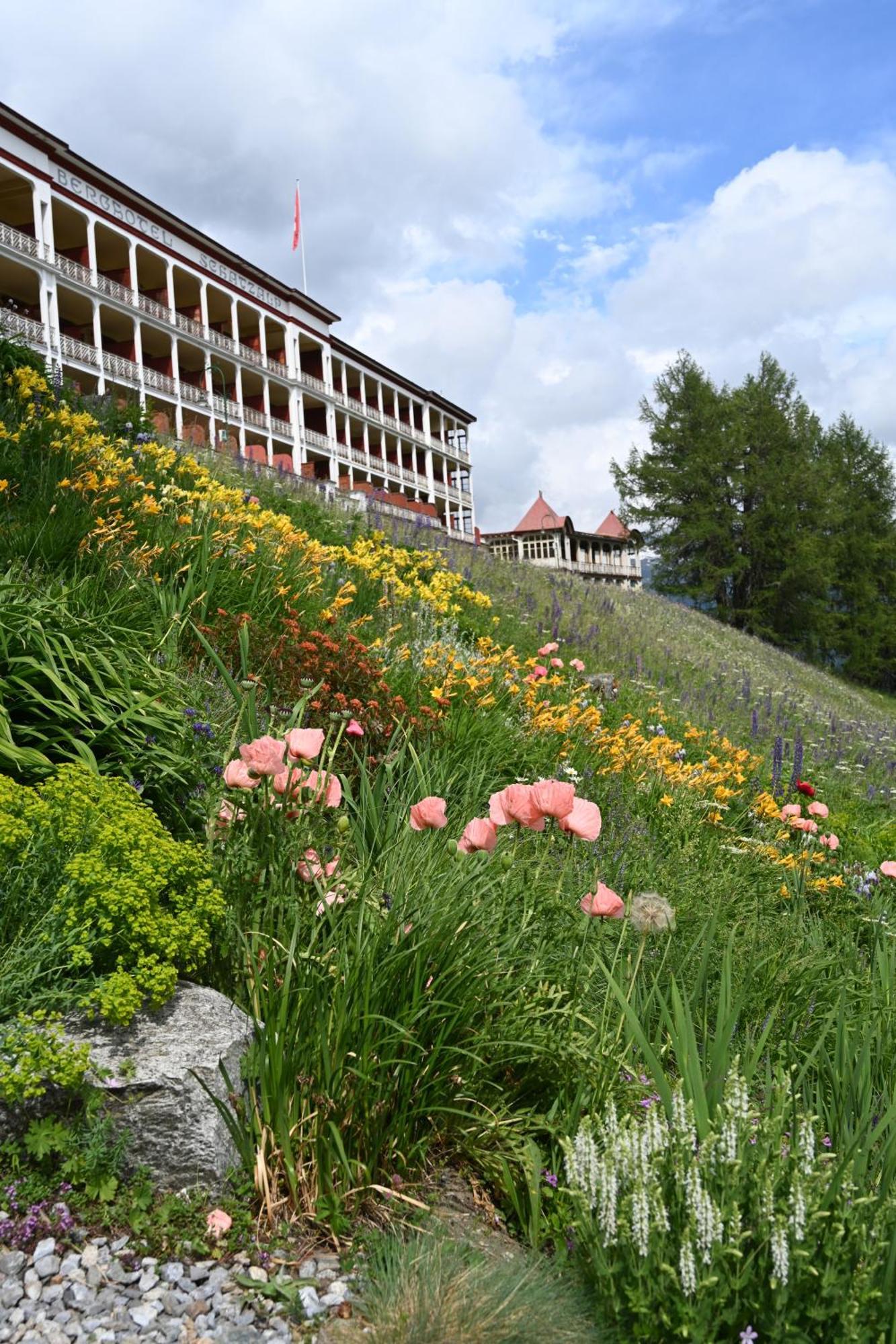 Schatzalp Hotel Davos Exterior photo