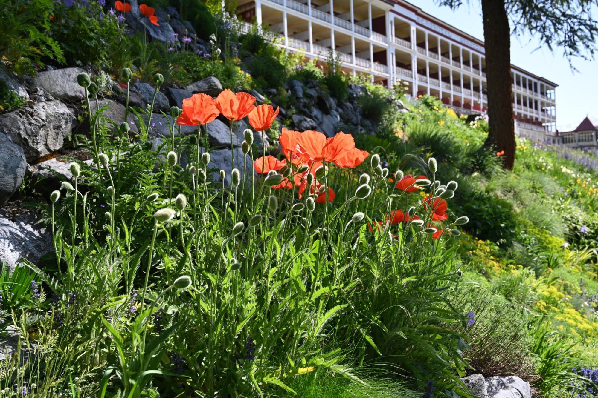 Schatzalp Hotel Davos Exterior photo